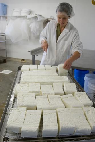 Making goat cheese
